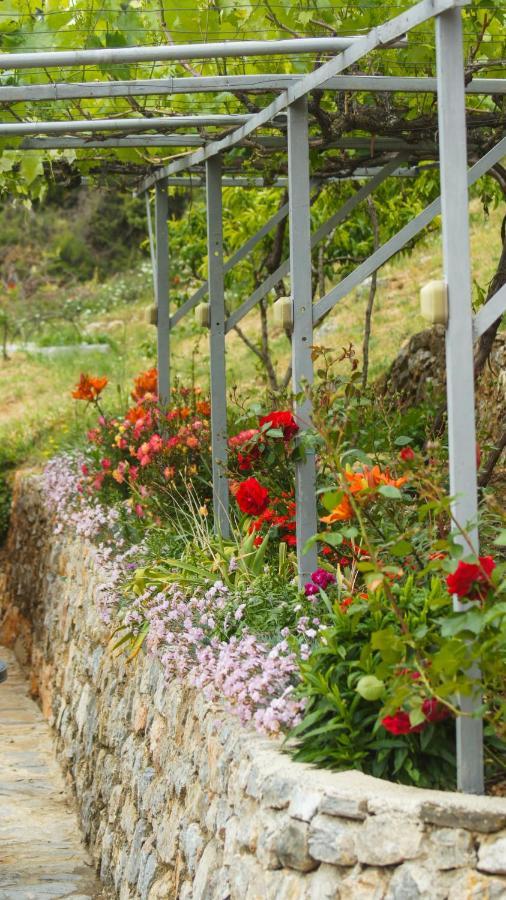 אוהריד Villa Megdani B מראה חיצוני תמונה
